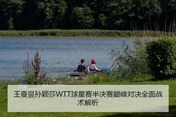 王曼昱孙颖莎WTT球星赛半决赛巅峰对决全面战术解析